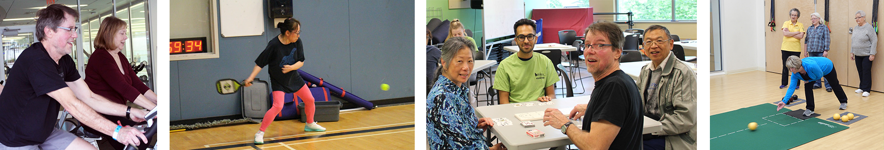 2019 Seniors Games Banner