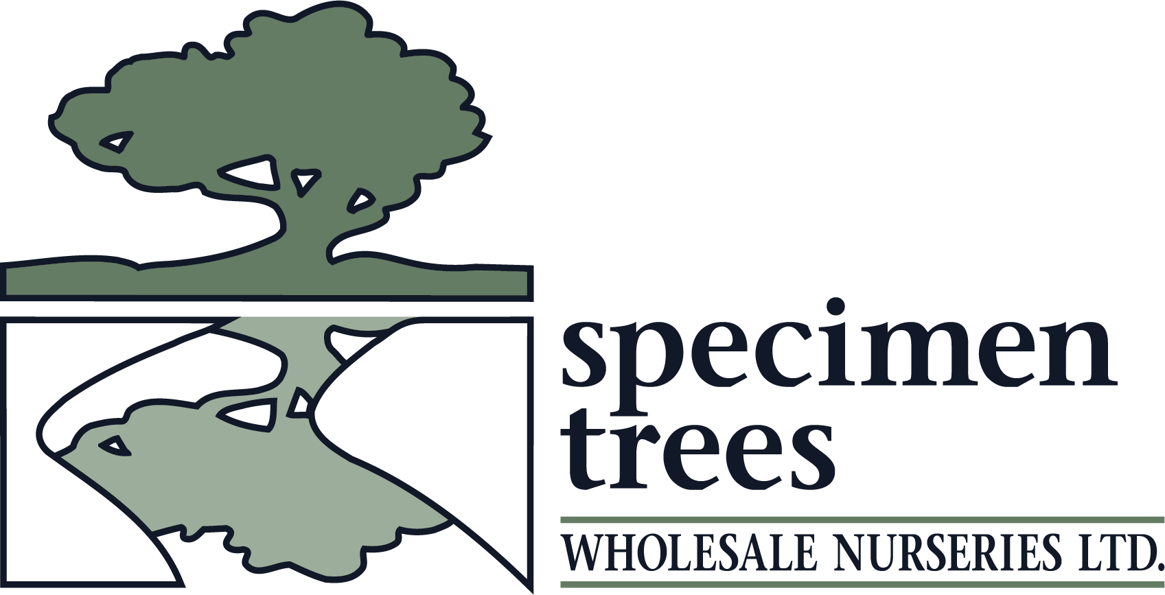 Specimen Trees