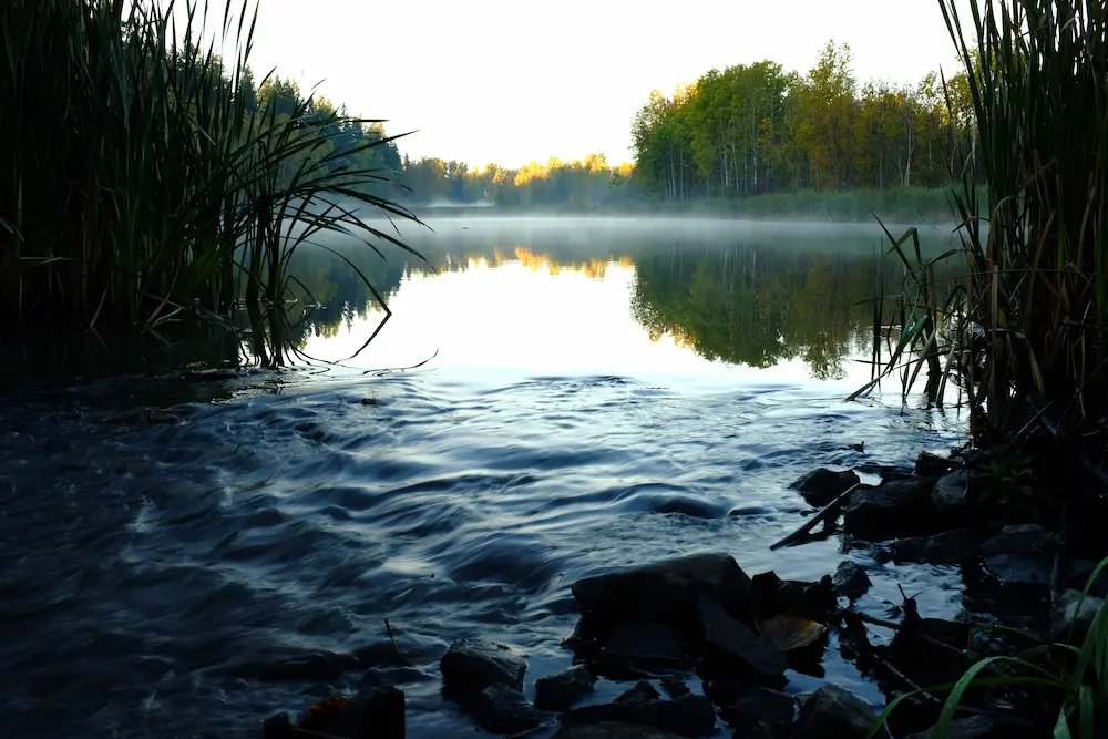 Hudson's Bay Wetland - City of Prince George